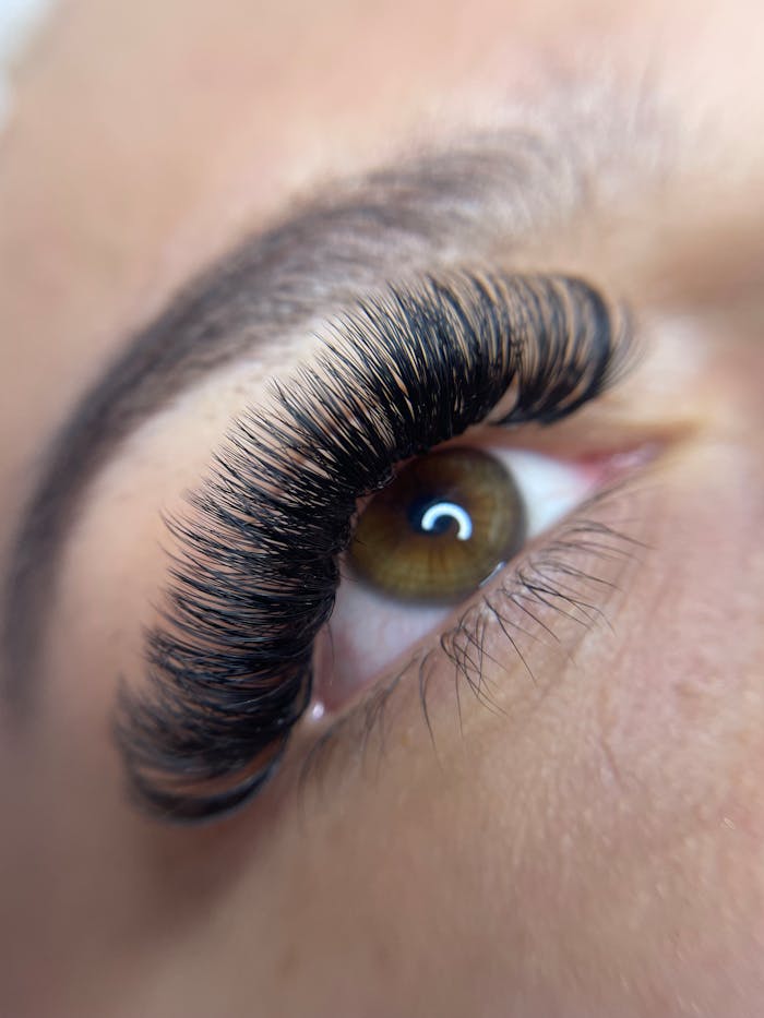 Detailed close-up of a woman's eye with styled eyelashes and groomed eyebrow.